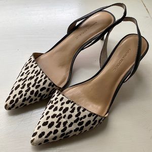 Animal print kitten heels- Banana Republic 7 1/2